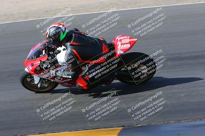 media/Feb-04-2023-SoCal Trackdays (Sat) [[8a776bf2c3]]/Turn 6 Inside (1025am)/